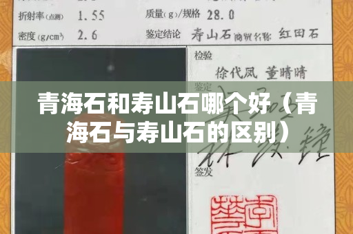 青海石和寿山石哪个好（青海石与寿山石的区别）