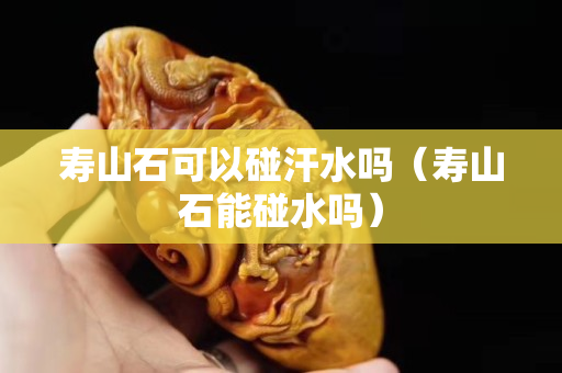 寿山石可以碰汗水吗（寿山石能碰水吗）