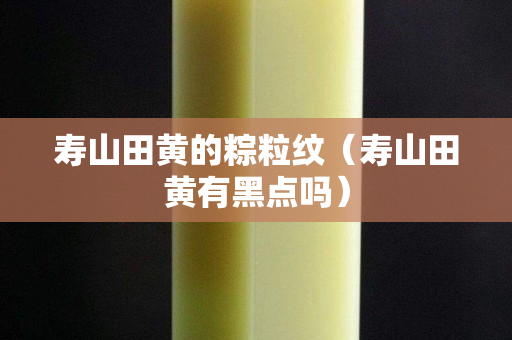 寿山田黄的粽粒纹（寿山田黄有黑点吗）