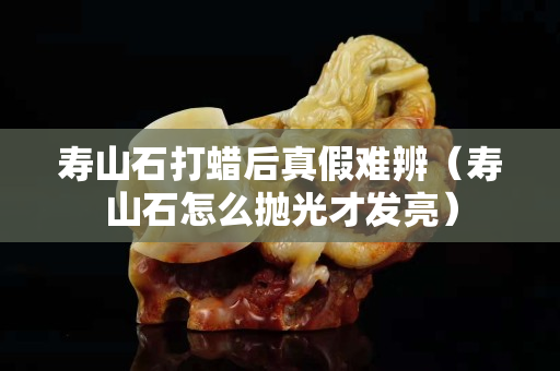 寿山石打蜡后真假难辨（寿山石怎么抛光才发亮）