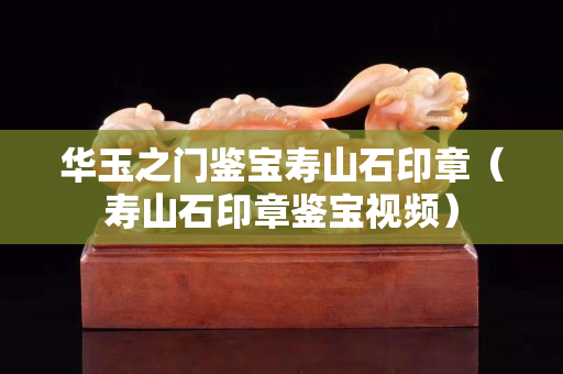 华玉之门鉴宝寿山石印章（寿山石印章鉴宝视频）