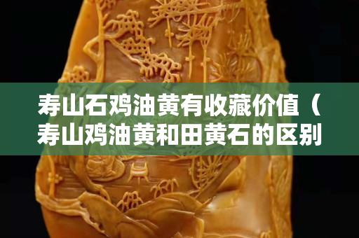 寿山石鸡油黄有收藏价值（寿山鸡油黄和田黄石的区别）