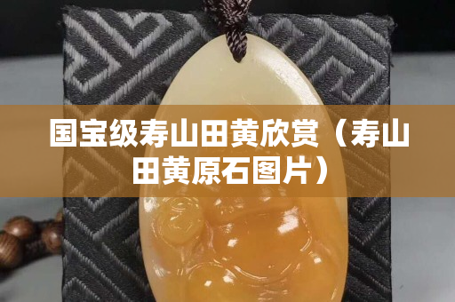 国宝级寿山田黄欣赏（寿山田黄原石图片）
