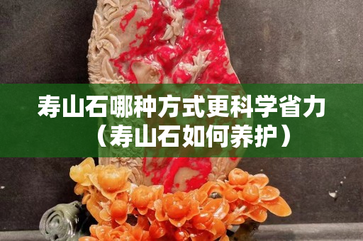 寿山石哪种方式更科学省力（寿山石如何养护）