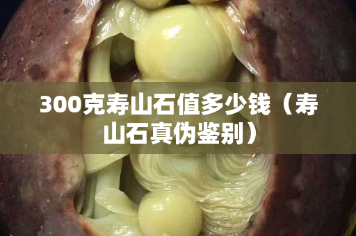 300克寿山石值多少钱（寿山石真伪鉴别）