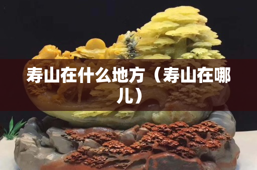 寿山在什么地方（寿山在哪儿）