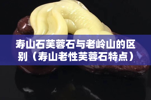 寿山石芙蓉石与老岭山的区别（寿山老性芙蓉石特点）