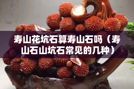 寿山花坑石算寿山石吗（寿山石山坑石常见的几种）