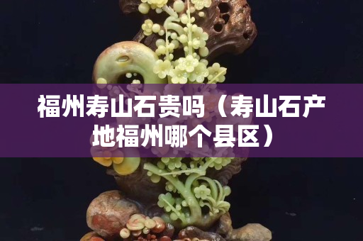 福州寿山石贵吗（寿山石产地福州哪个县区）
