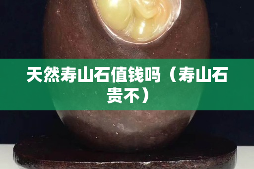 天然寿山石值钱吗（寿山石贵不）