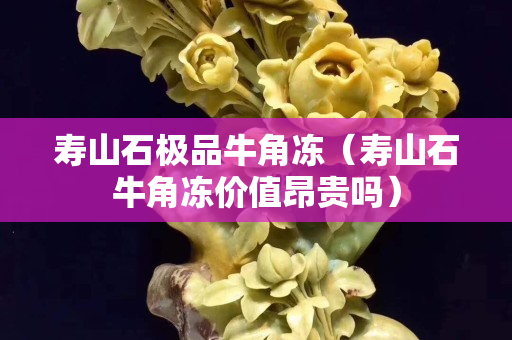 寿山石极品牛角冻（寿山石牛角冻价值昂贵吗）