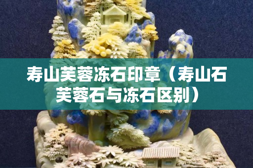 寿山芙蓉冻石印章（寿山石芙蓉石与冻石区别）