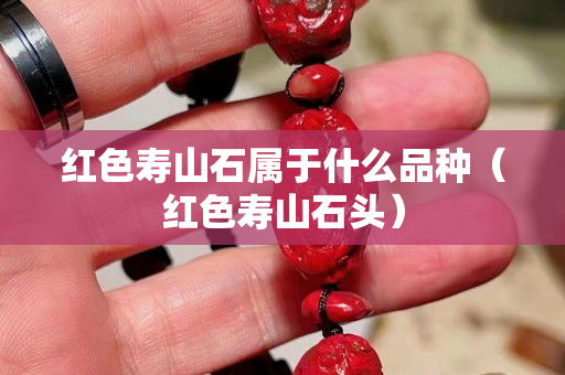 红色寿山石属于什么品种（红色寿山石头）