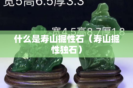 什么是寿山掘性石（寿山掘性独石）