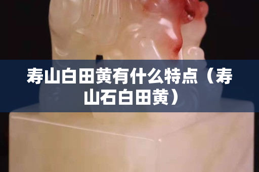 寿山白田黄有什么特点（寿山石白田黄）