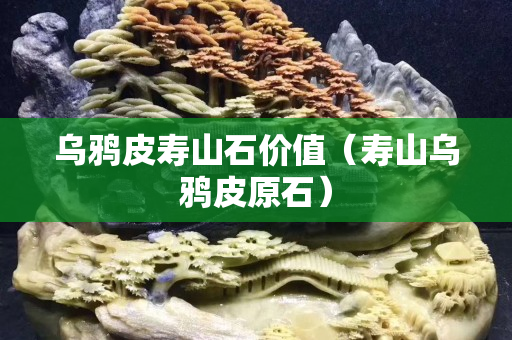 乌鸦皮寿山石价值（寿山乌鸦皮原石）