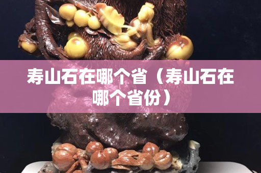 寿山石在哪个省（寿山石在哪个省份）