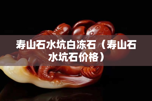 寿山石水坑白冻石（寿山石水坑石价格）