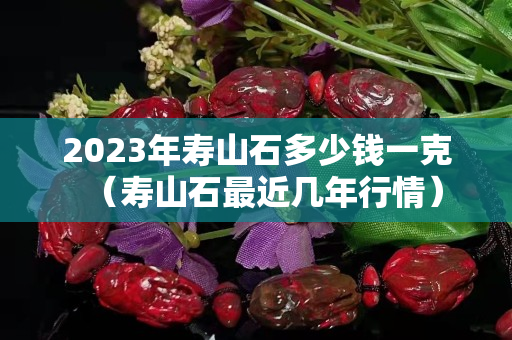 2023年寿山石多少钱一克（寿山石最近几年行情）