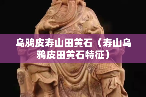 乌鸦皮寿山田黄石（寿山乌鸦皮田黄石特征）