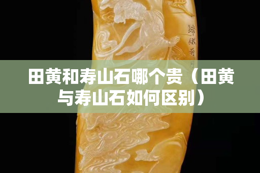 田黄和寿山石哪个贵（田黄与寿山石如何区别）
