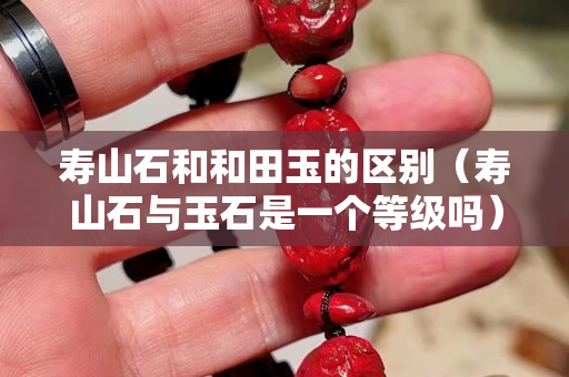 寿山石和和田玉的区别（寿山石与玉石是一个等级吗）