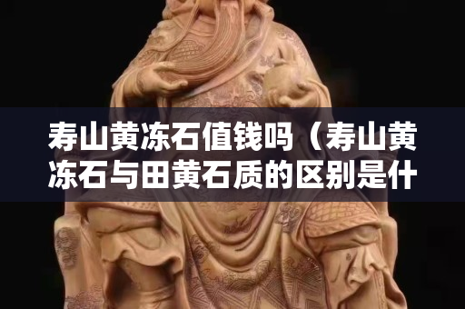 寿山黄冻石值钱吗（寿山黄冻石与田黄石质的区别是什么）