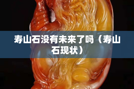 寿山石没有未来了吗（寿山石现状）
