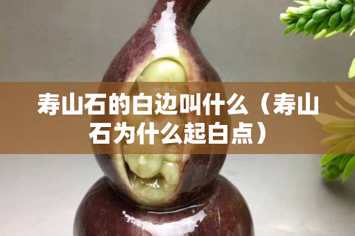 寿山石的白边叫什么（寿山石为什么起白点）