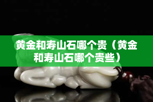 黄金和寿山石哪个贵（黄金和寿山石哪个贵些）