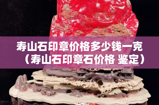 寿山石印章价格多少钱一克（寿山石印章石价格 鉴定）