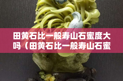 田黄石比一般寿山石蜜度大吗（田黄石比一般寿山石蜜度大吗）