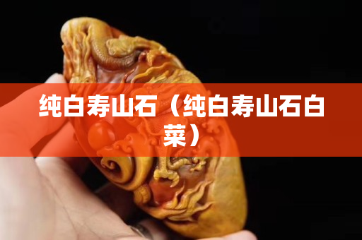 纯白寿山石（纯白寿山石白菜）