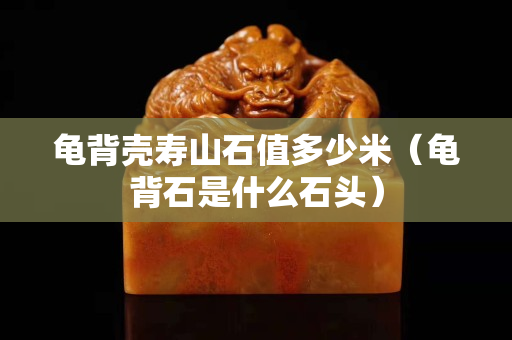 龟背壳寿山石值多少米（龟背石是什么石头）