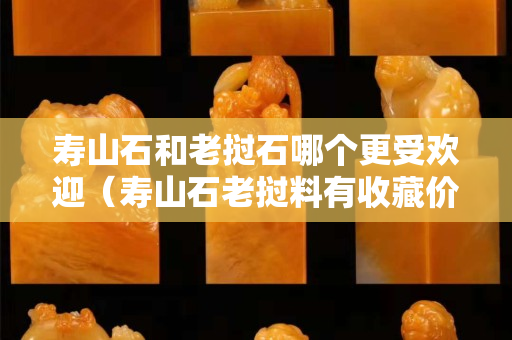 寿山石和老挝石哪个更受欢迎（寿山石老挝料有收藏价值吗）