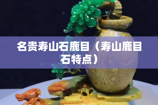 名贵寿山石鹿目（寿山鹿目石特点）
