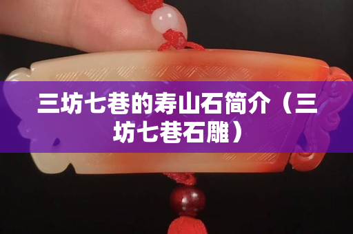 三坊七巷的寿山石简介（三坊七巷石雕）