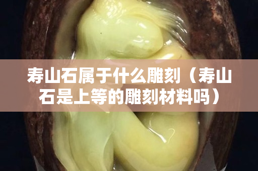 寿山石属于什么雕刻（寿山石是上等的雕刻材料吗）