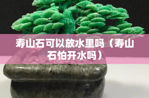 寿山石可以放水里吗（寿山石怕开水吗）
