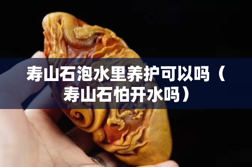 寿山石泡水里养护可以吗（寿山石怕开水吗）