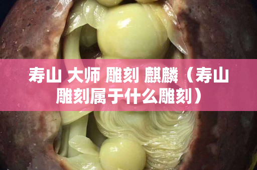 寿山 大师 雕刻 麒麟（寿山雕刻属于什么雕刻）