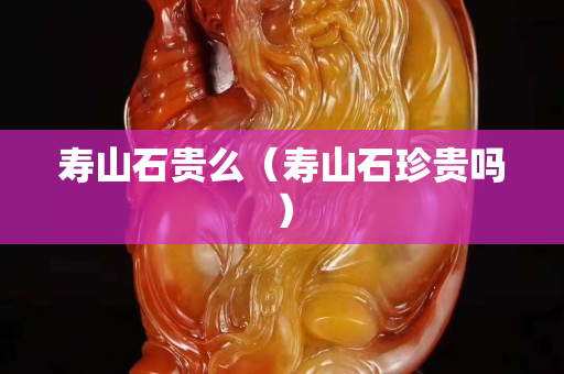 寿山石贵么（寿山石珍贵吗）