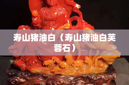 寿山猪油白（寿山猪油白芙蓉石）