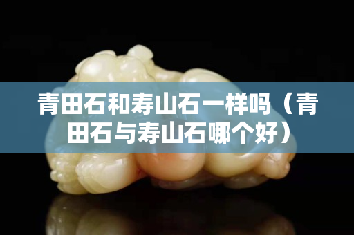 青田石和寿山石一样吗（青田石与寿山石哪个好）
