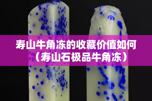 寿山牛角冻的收藏价值如何（寿山石极品牛角冻）