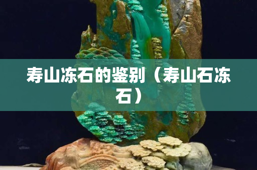 寿山冻石的鉴别（寿山石冻石）