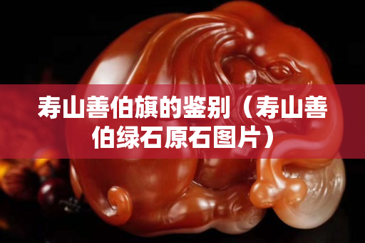 寿山善伯旗的鉴别（寿山善伯绿石原石图片）