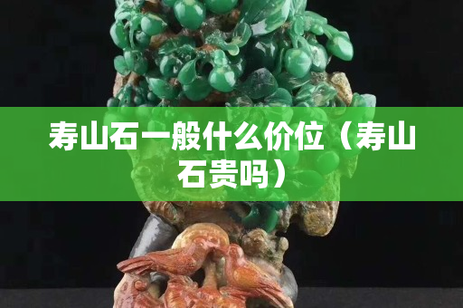 寿山石一般什么价位（寿山石贵吗）