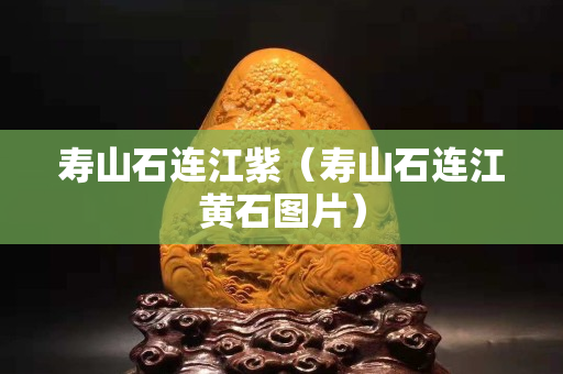 寿山石连江紫（寿山石连江黄石图片）