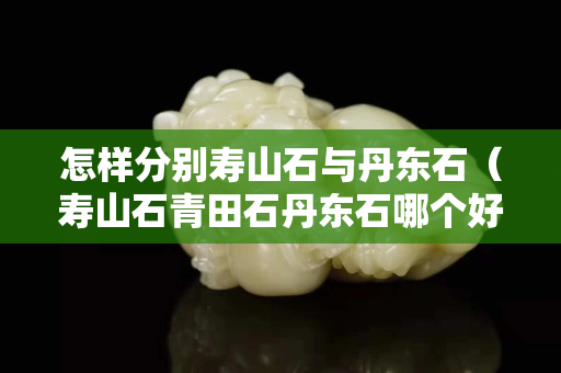 怎样分别寿山石与丹东石（寿山石青田石丹东石哪个好）